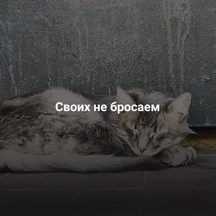 �������� ���� ������ �������� ���������� �������� �������� �������������