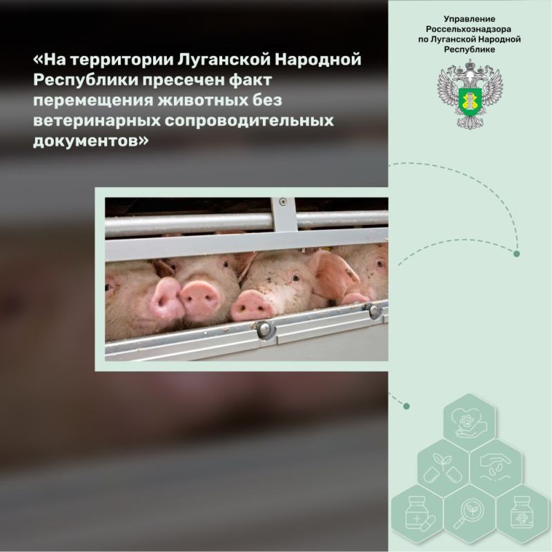 �� ���������� ��������� �������� ���������� �������� ���� ����������� �������� ��� ������������ ���������������� ����������