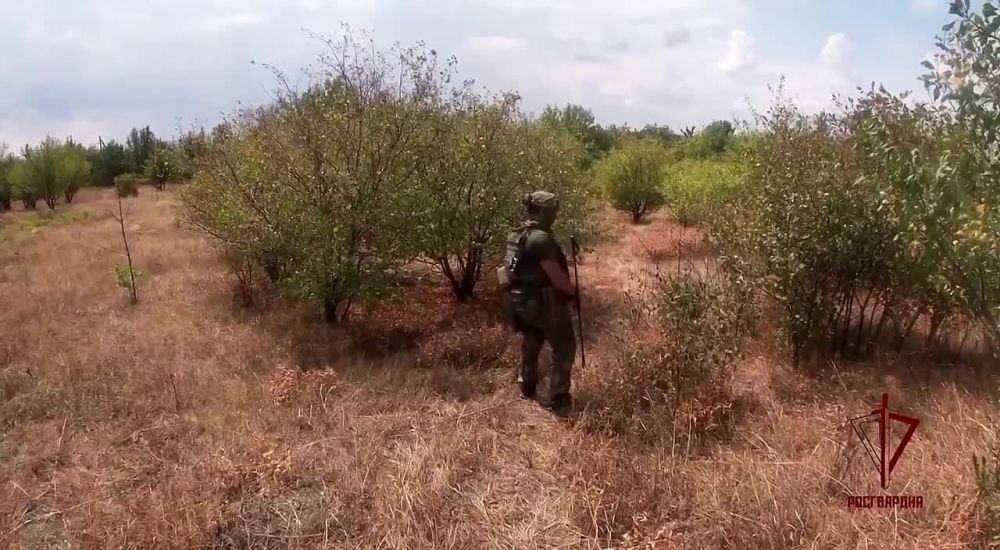 ������� ���������� ��������� ����� �������������� ���������� �����������, ������������� � ���������� � 2014 ���� � ���������