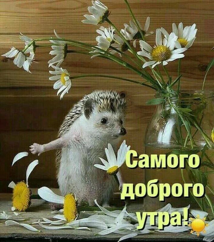 � ������ �����, ������ �������������� ������!