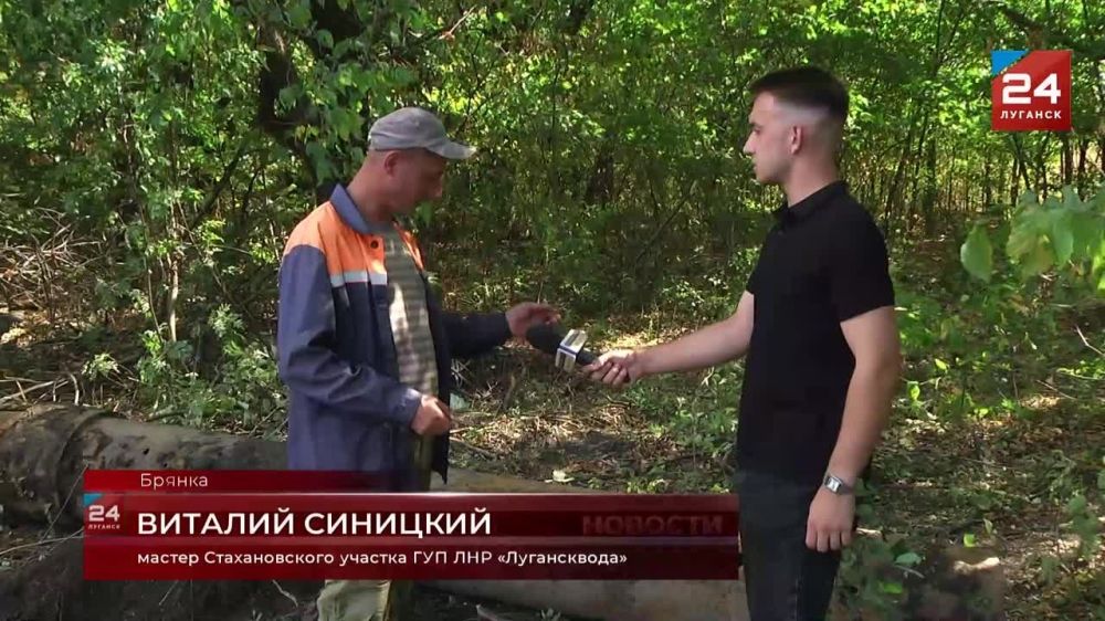  :              &quot;&quot;        ,    &quot;&quot;