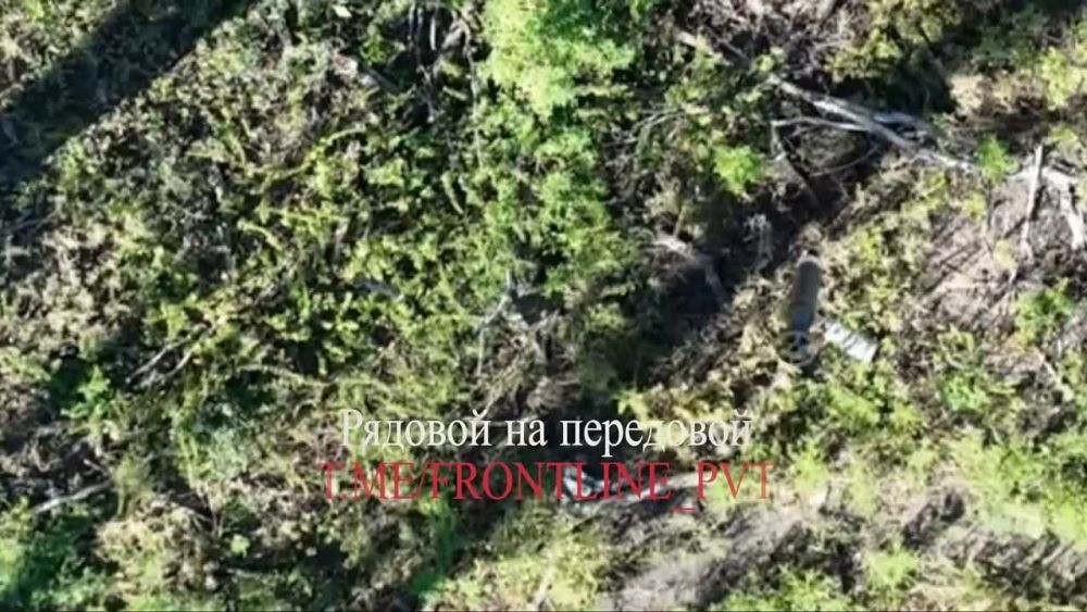 ���� ����� ���������� ����� ���� ���������� � ������� �� ��������� �����������