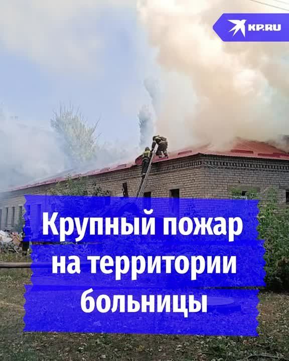 ������� ����� �� ���������� �������� �������� ��������� � ���������