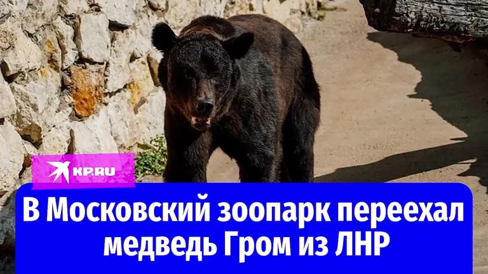 26 ������� � ���������� ������� �� ������ ��������������� ������ ����� �������� �������� ����� ������� ����