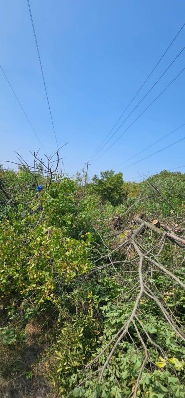 � ����������� ������������� ������ ������������ ������������ � �������������� ��������������