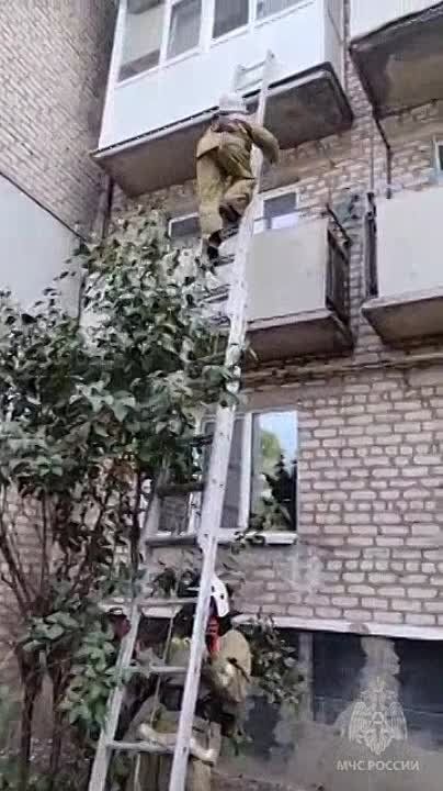 ��������� ��� ������ ������� ������������ �������� � ��������
