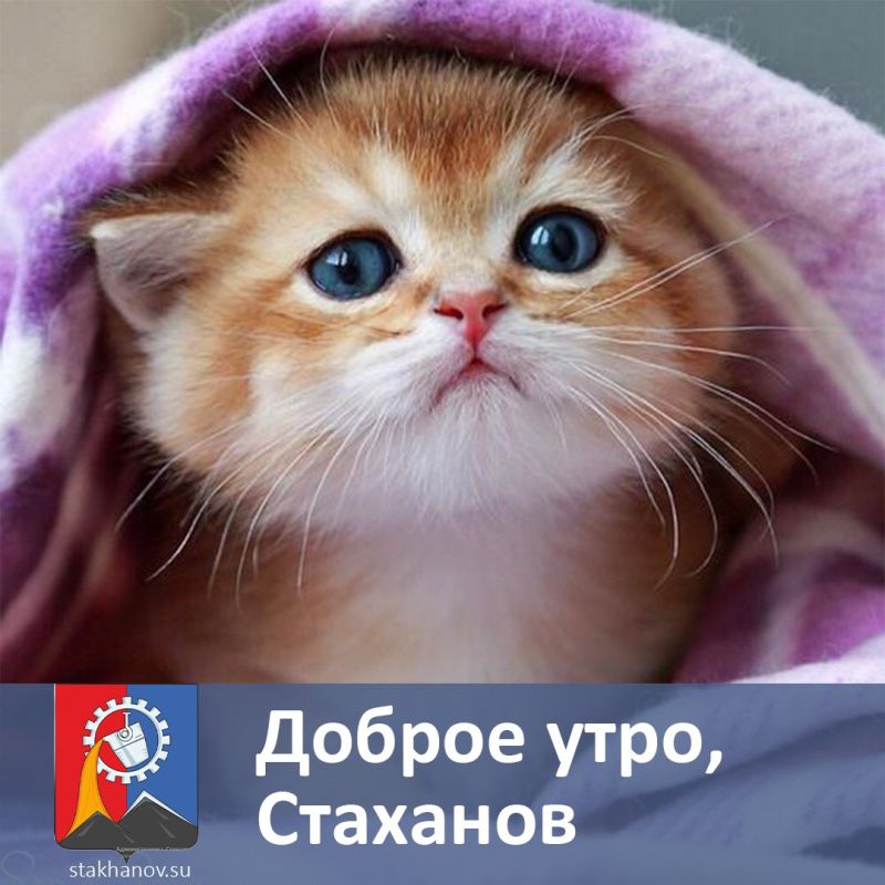 ����� ���������, ��� ������ � ������� ���������� ����� ������ � ����