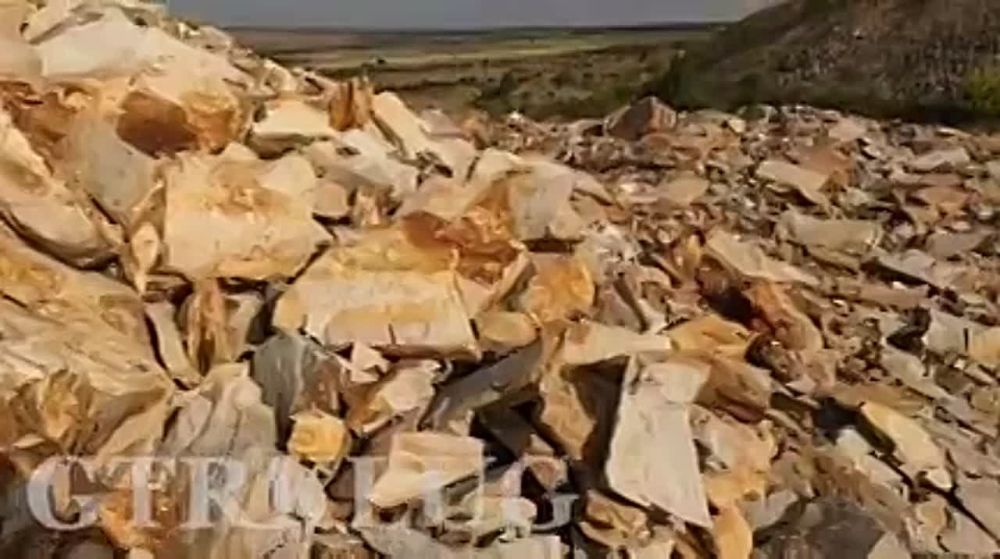 � ��� ��������� ��������� ������ ������ � ������� �� ������������ � ���������� ������������� ����������� ��������
