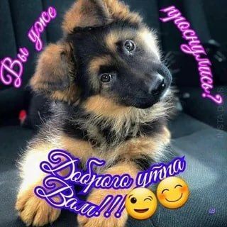 � ������ �����, ������ �������������� ������!