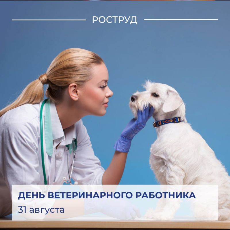 ������� � ������ ��������� ���� ������������� ��������� � �������� ���, ��� ����� ��������� ���� ����� ������� ����� �������, �������� �� �� ��������