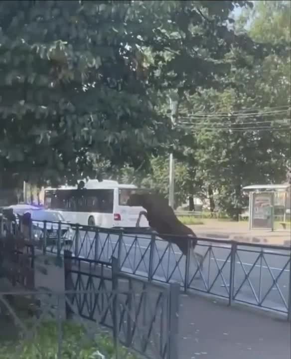 ���� ���������� �� ������, ��������� � ���� � �������