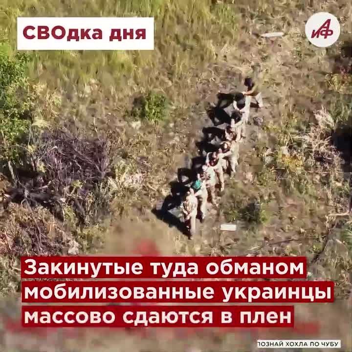 ��� ������� ������� � ����
