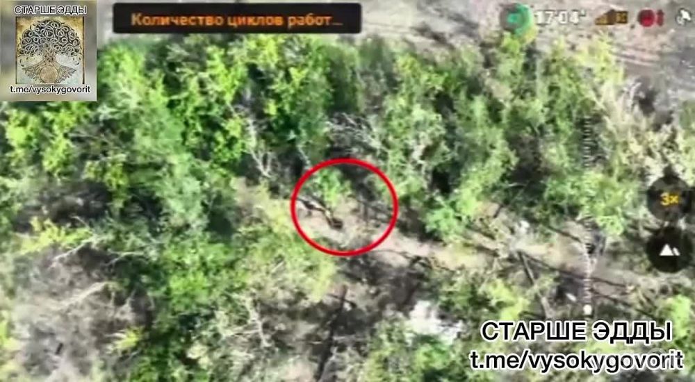 ����� �����: ������ ��������������� ����������� 144 �������, ����� �������-���������