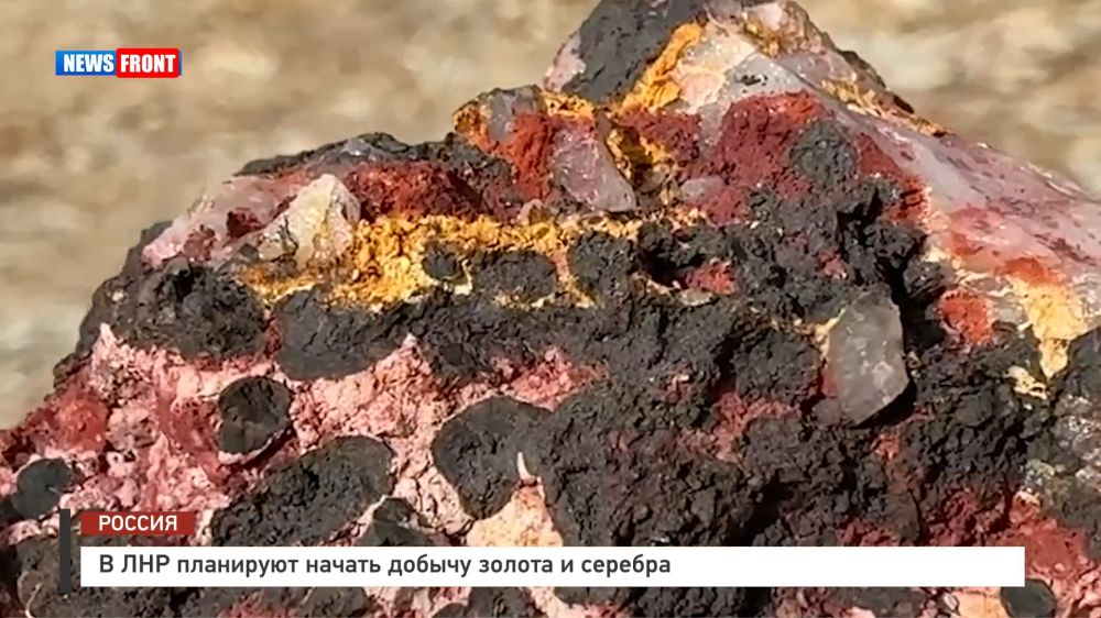 � ��� ��������� ������ ������ ������ � ������� � �������� News Front