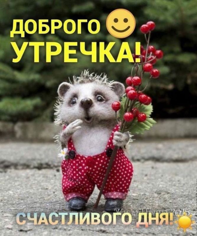 � ������ �����, ������ �������������� ������!