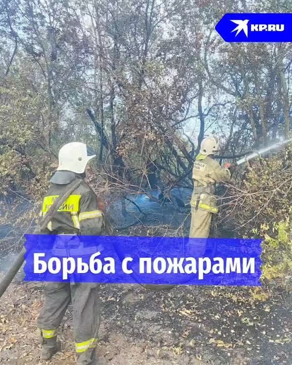 ����� ����� � �����. ��� �������� ������� �� ��������� ������ ����� � ����������� ���� ���� ���������