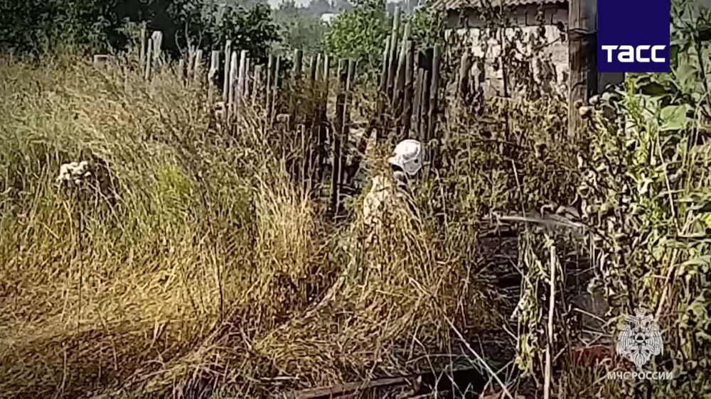����� ������� ������ � �������������� ������ ���