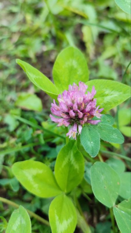 � ������ �����, ������ ����������� �������������� ������!