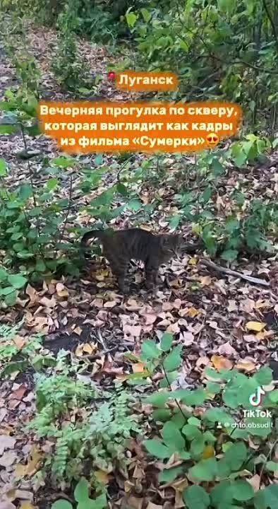 � ��������� ��������� � ����� ������ ���������