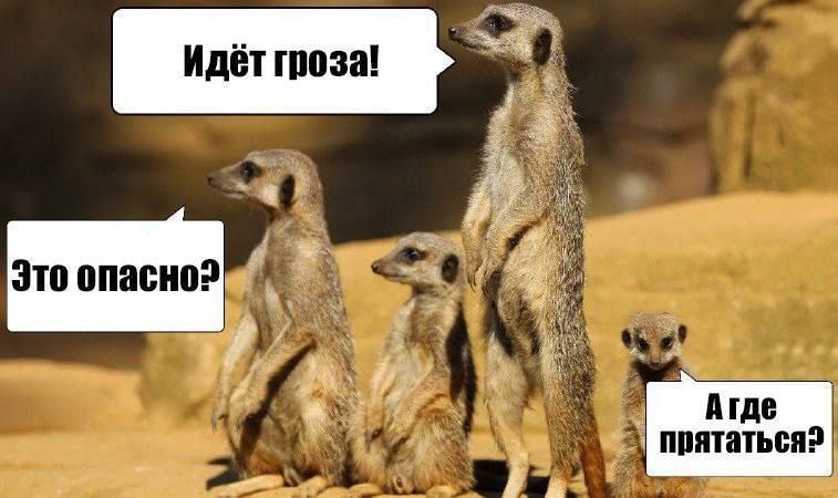 �������� �������� ������������