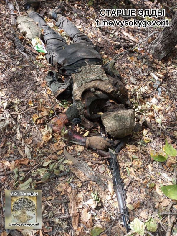 ��������� �������: ����������� �������-���������, � ������� �������� ��������