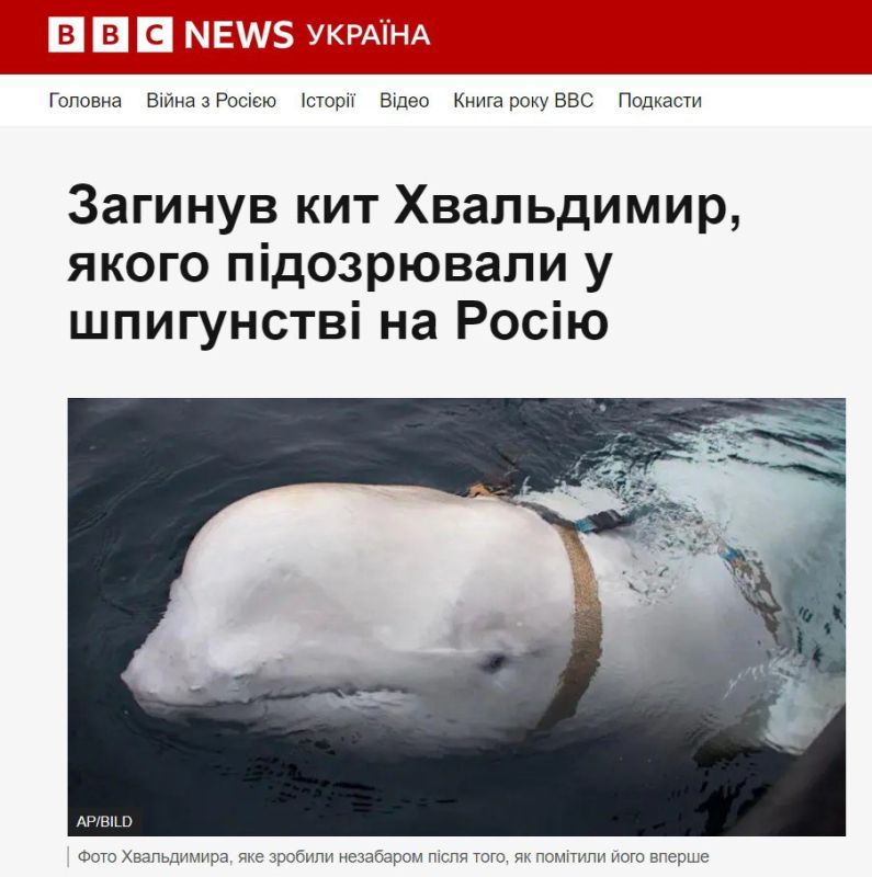 ���, �����������, ������� �� �������� ������ � ���� � ��������