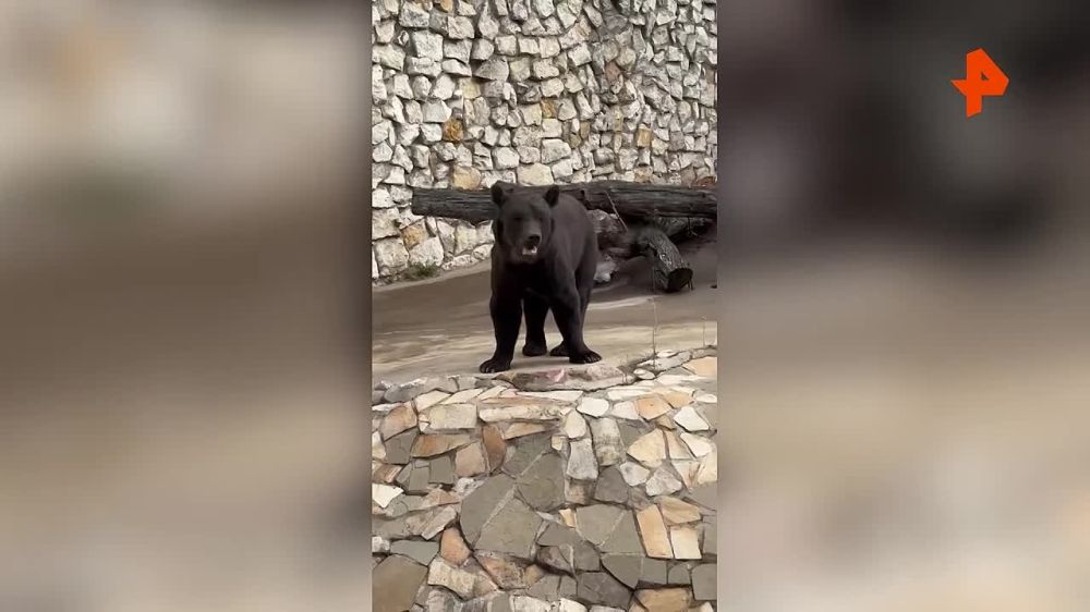 ����� ���������� � ��� �������: ��������� � �������� ������� ���� ����������� � ������� ����������� ��������