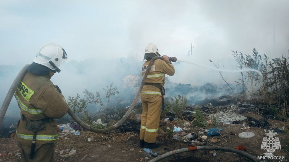 На минувших сутках сухотравные пожары нанесли жителям ЛНР колоссальный материальный ущерб и, возможно, стали причиной гибели людей