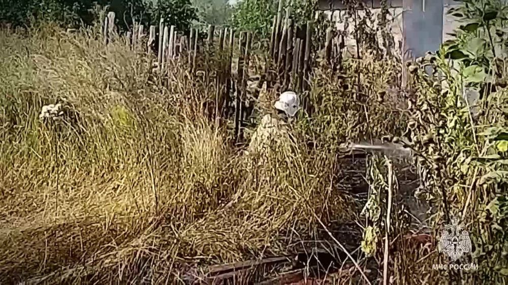 ������ �������� �� ����� ������� � ���������� ������� � �������������� ������