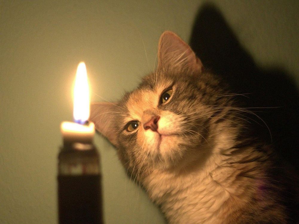 ���������� �� �������������� ���: �������� ���������� ��������������!