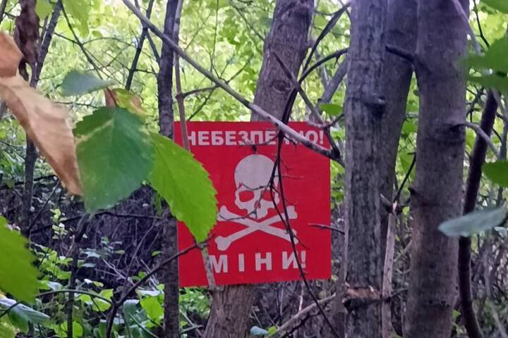 ����������� � ������������� ���� �������� ������ ������������