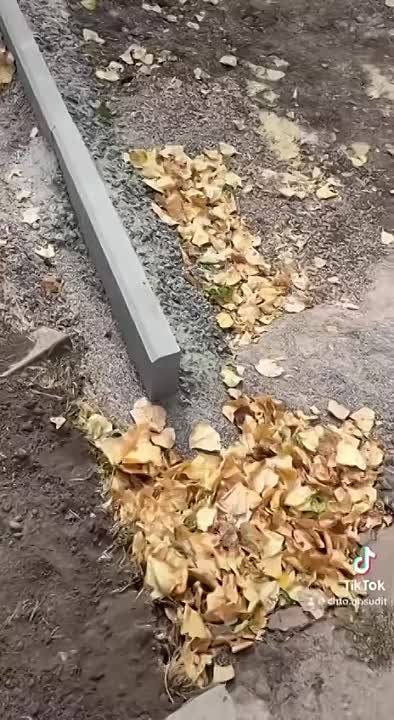 ����� ������������� - ��� ���� ������������ ������������ ��������, ������� � ���� ���� ����������� ����������