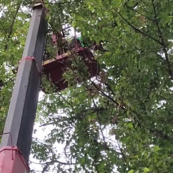 ����������� �������� ������� � �������� ��� ������� � ���������� ����� � ����� ��������� �������� � ���������