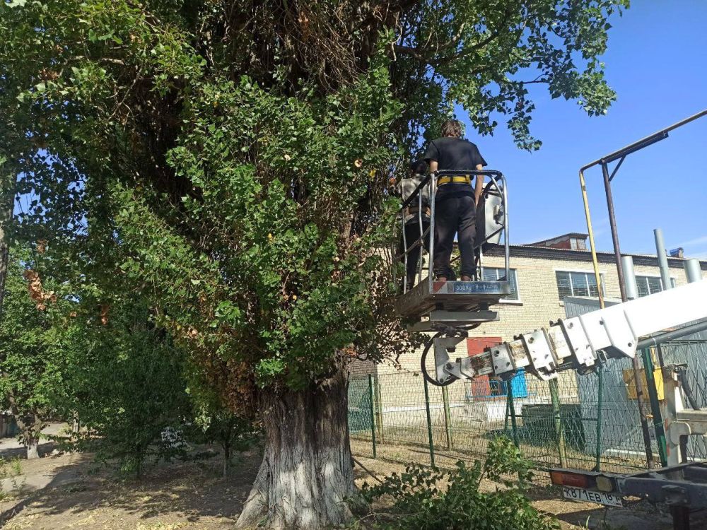 �������� ��������: ������������ ������ ���������� ������ �� ������ �������