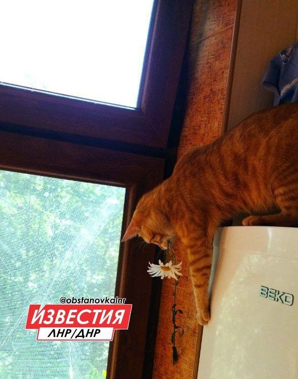 �� ������ ���� ����������� �� ����������������� � ����������� ���������� ����� �� ��������� �������� ���������� 6 �������� �� ���������� ���������� �������������� ���������� ����������