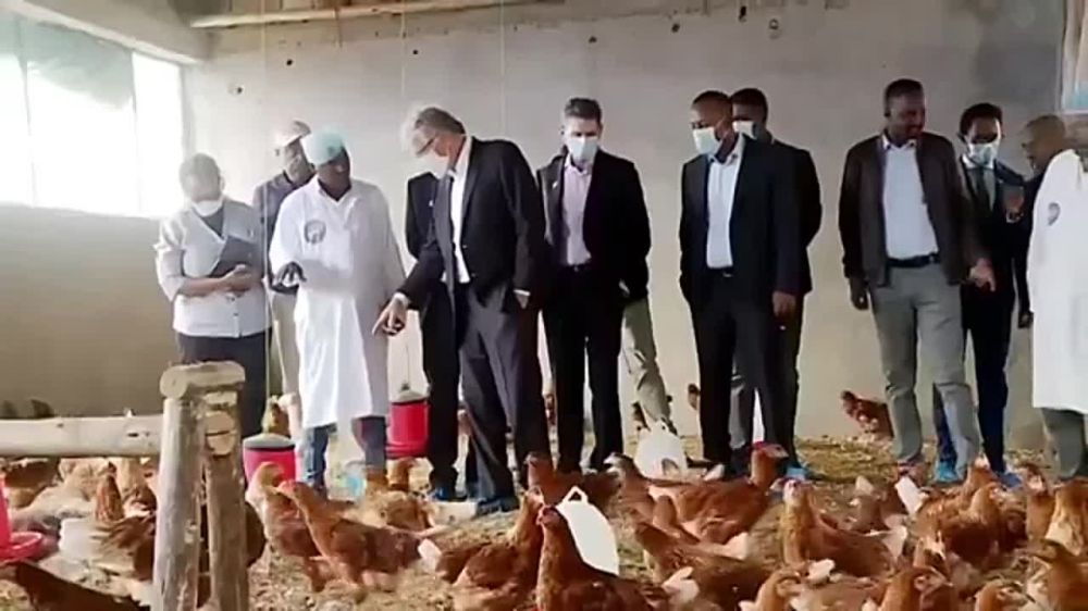 ���� ����� ������ � ������� �� ������� � �������-���������, ����� ������� �������� ����������� �������������� ��������� ��������� ������, ������� �������� ���������, ������������ � ��������� �������������