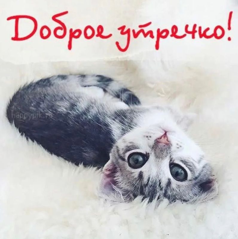 � ������ �����, ������ �������������� ������!