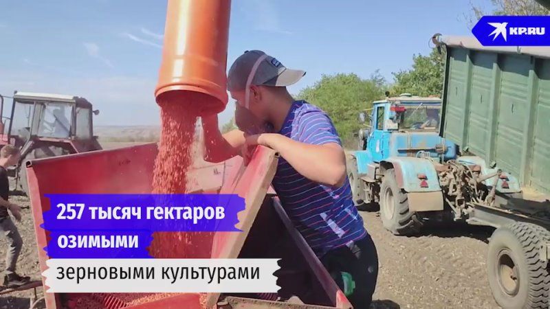 �������� ��������. � ������� ������� ���������� ����� ������ ������� ��� �������