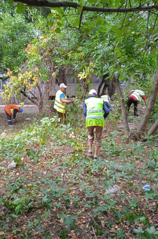 В Ирмино МУП "Коммунальная служба г.Ирмино" сегодня по многочисленным обращениям жителей проводились работы по обрезке аварийных деревьев по ул. А. Стаханова