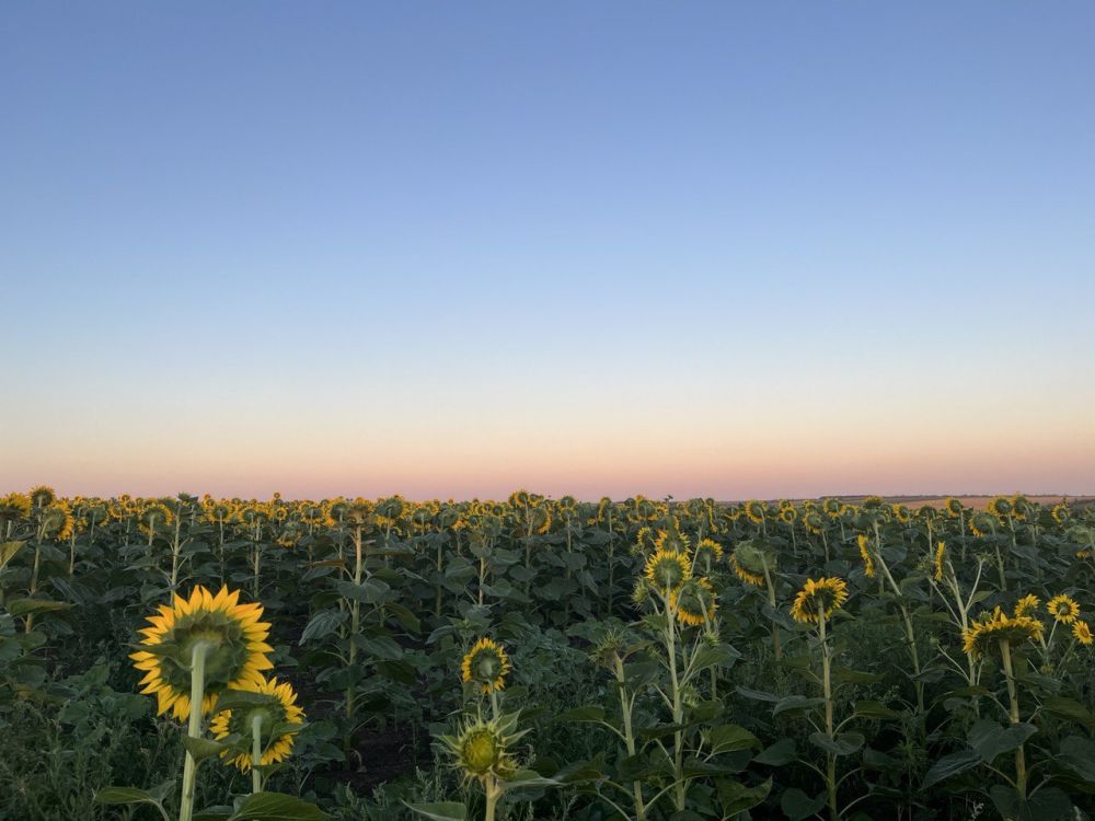 � ������ �����, ������ ����������� �������������� ������!