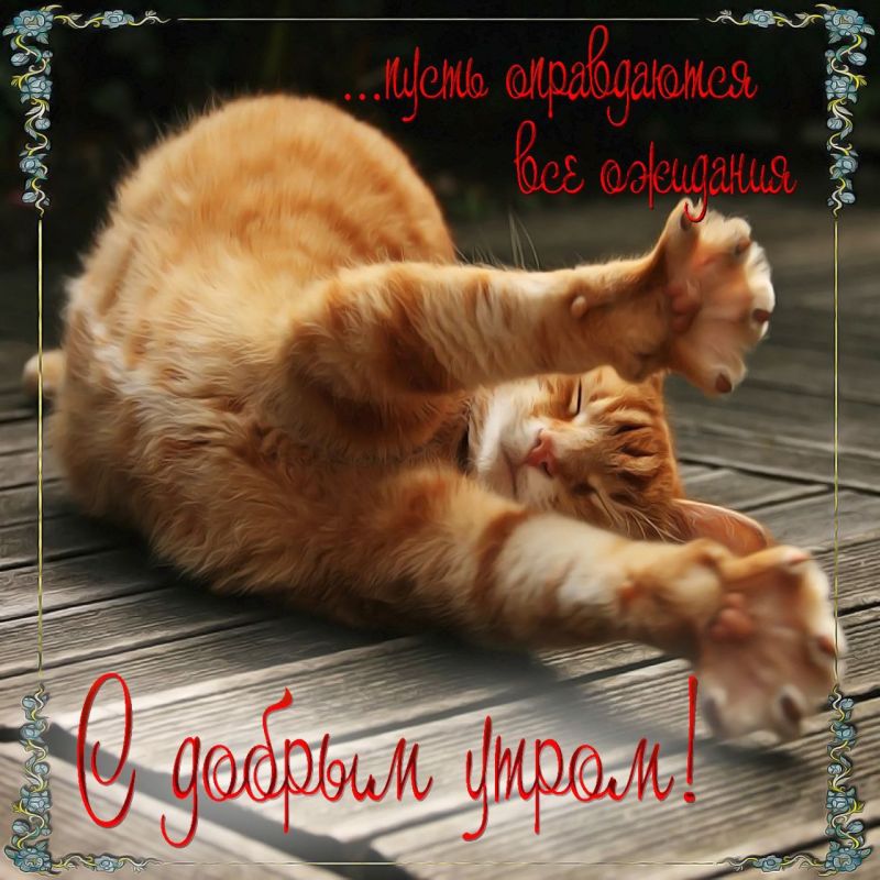 � ������ �����, ������ �������������� ������!