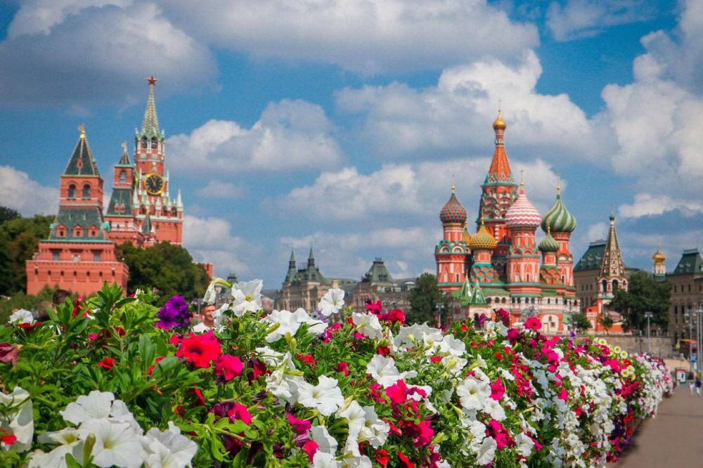 ������ �������� 877-� ��������� �� ��� �����������