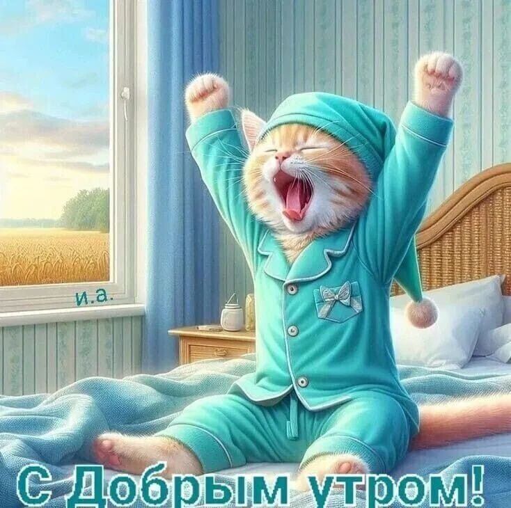 � ������ �����, ������ �������������� ������!