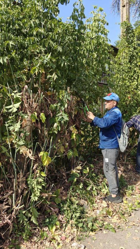 �������� ��������: ������������ ������ ���������� ������ �� ������ �������