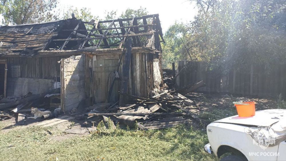 � ������������ ������������� ������ ������������ ����������� ���� �� ������ �� ������ �����, �� � �����