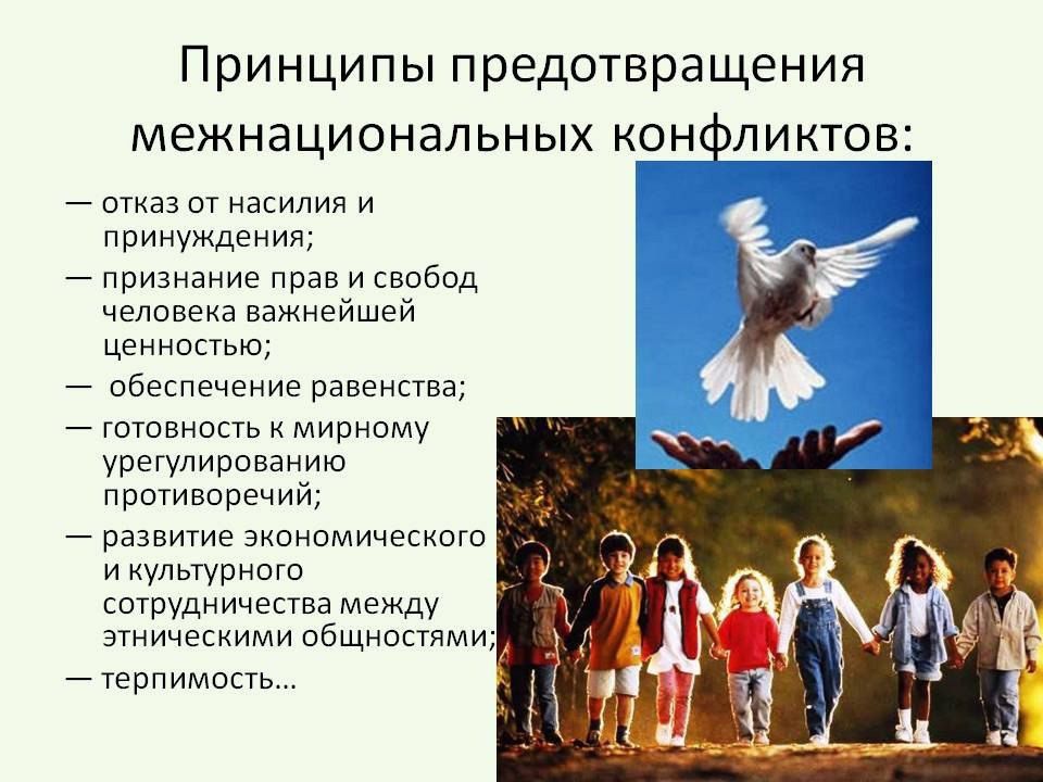 ������� �� ������������ ��������������� (�������������) ���������, ������������ ����������� � �������������� ���������� �� ������������ � ����������� �����