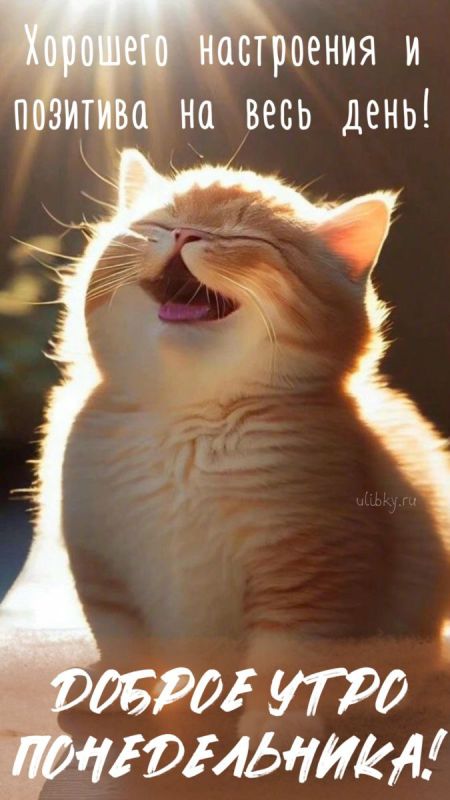 � ������ �����, ������ �������������� ������!