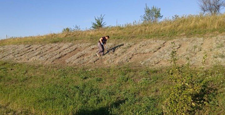 В канун Дня города в Молодогвардейске был организован субботник