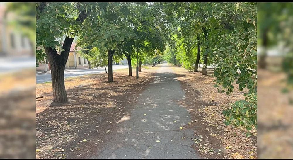 #�������������. ��