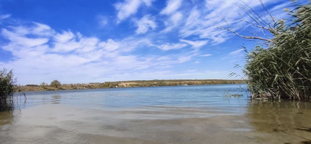 � ������ �����, ������ ����������� �������������� ������!